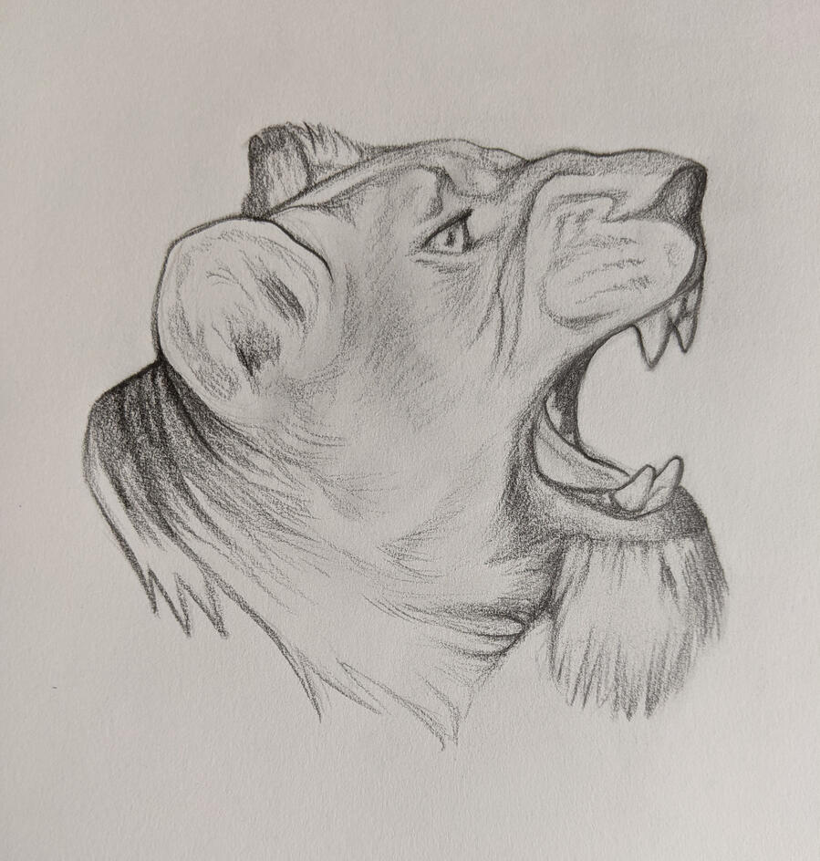 Lion Head