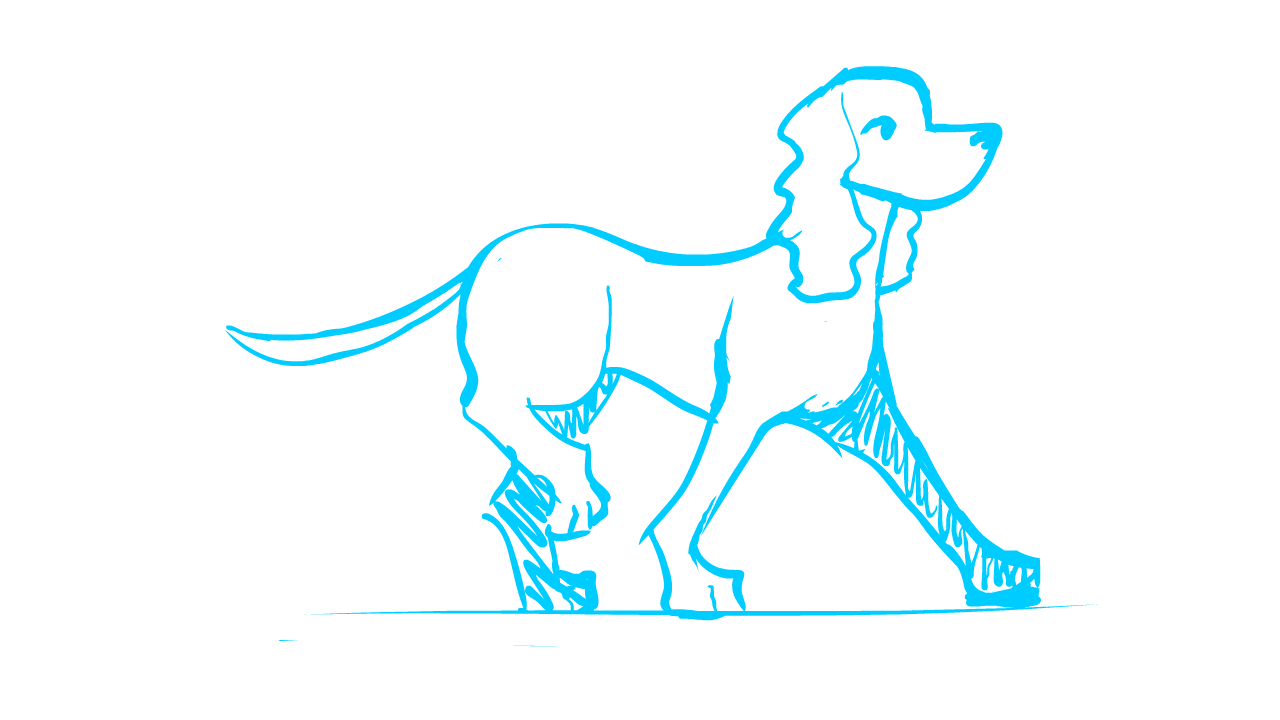 Quadruped Walk
