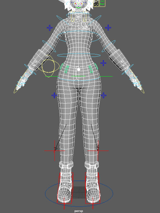 Body Topology / Rig